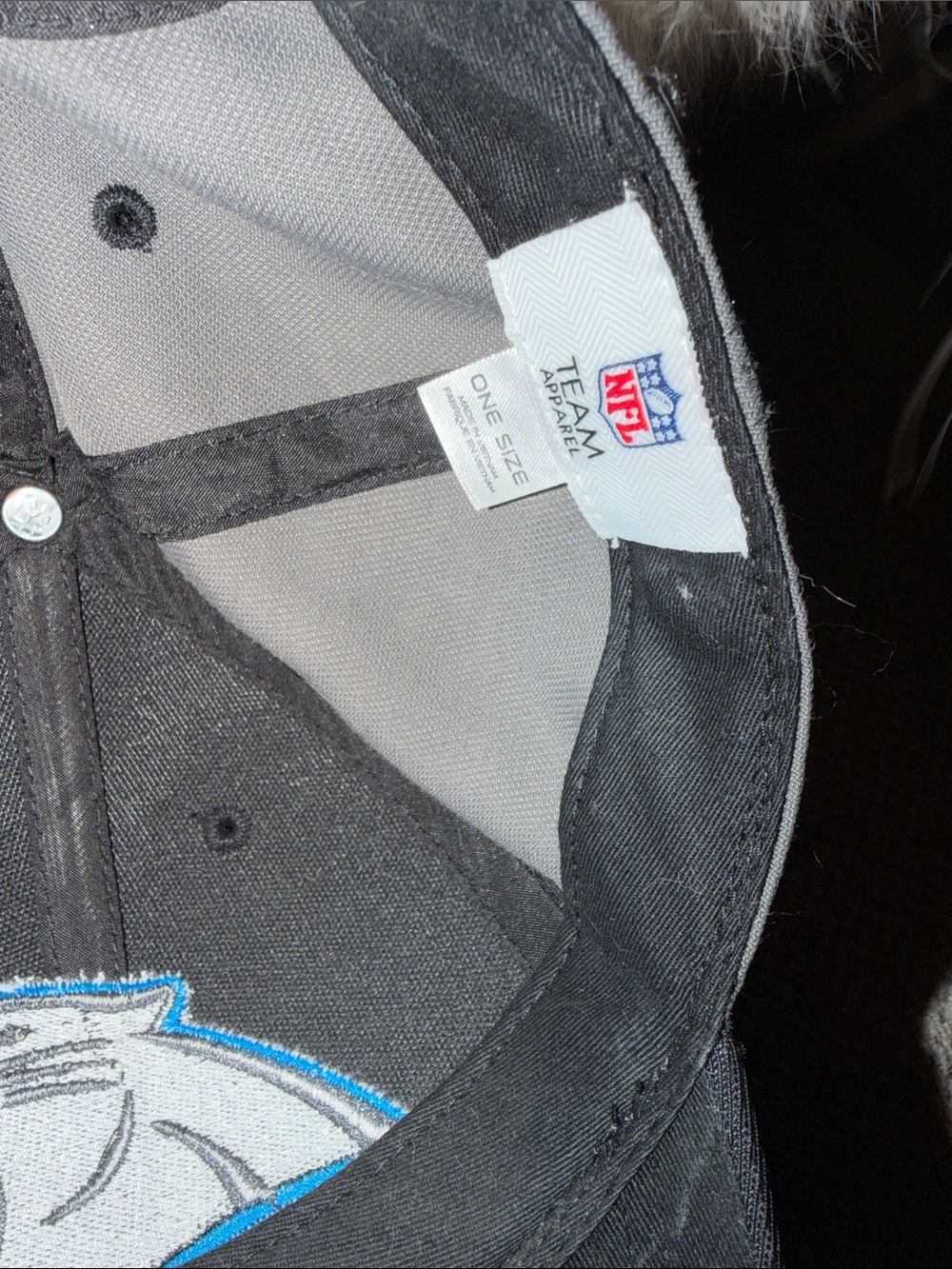 NFL Black and Gray Carolina Panthers Embroidered Logo Hat - Picture 2 of 3